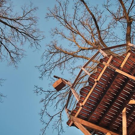 Jesenice  Treehouse Kremilekヴィラ エクステリア 写真