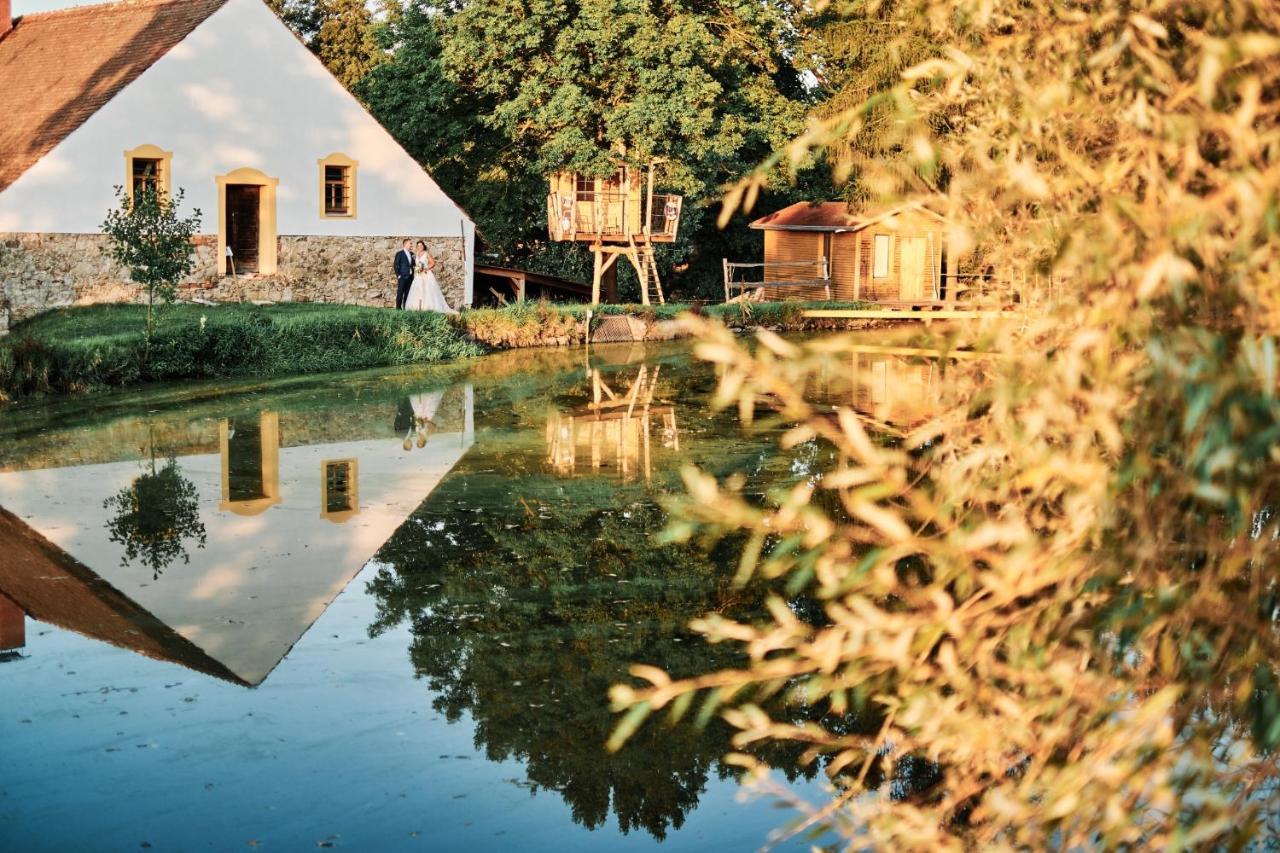 Jesenice  Treehouse Kremilekヴィラ エクステリア 写真